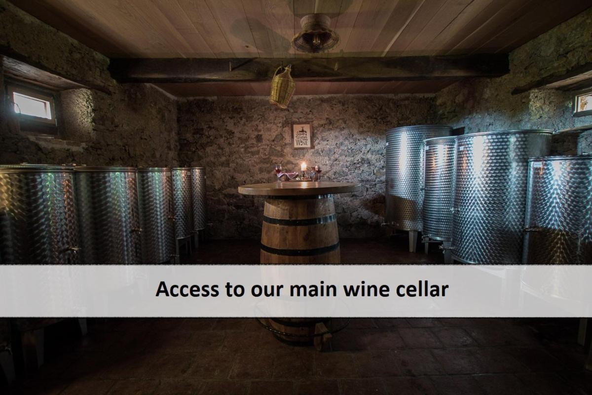 Otočec Vineyard Cottage Skatlar מראה חיצוני תמונה