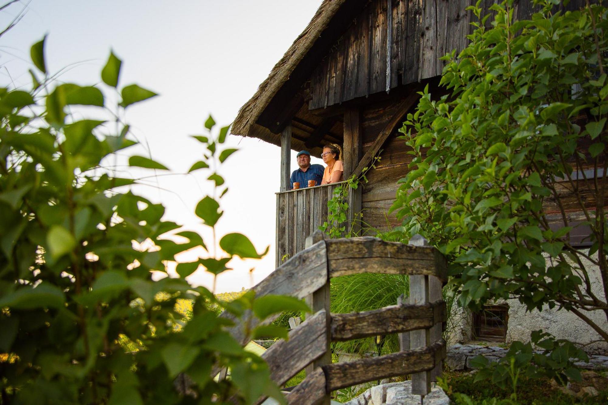 Otočec Vineyard Cottage Skatlar מראה חיצוני תמונה