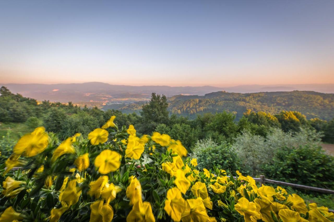 Otočec Vineyard Cottage Skatlar מראה חיצוני תמונה